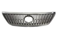 Radiateurgrille 6502078122991P