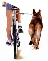 Camon walky dog fietsbeugel 60x3x3 cm