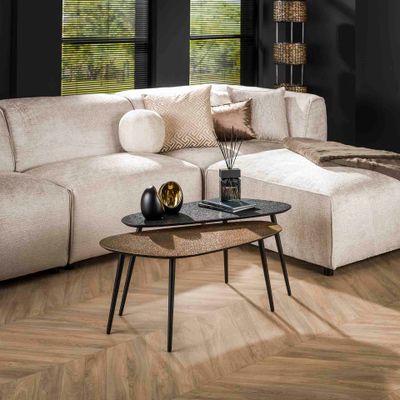 LifestyleFurn Organische Salontafel 'Marylouise' Metaal, Set van 2 stuks, kleur goud/zwart