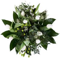 Bloemen - Tulpen (Groot)