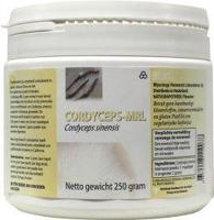 MRL Cordyceps poeder MRL Cordyceps poeder