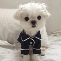 Hond kleren huisdier pyjama hond simulatie zijde pyjama grootte: XL (zwart)