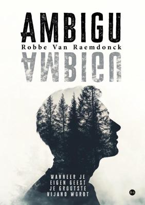 Ambigu (Paperback)