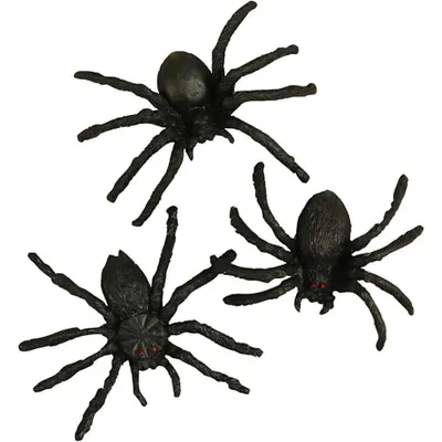 10 spinnetjes