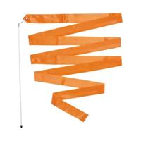 SET STICK + LATEX BAND RHYTMIC
