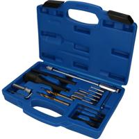 Brilliant Tools BT561030 Gloeikaarsdemontage- en schroefreparatieset, 16-delig