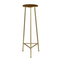 Mica Decorations Jill Plantentafel - 35x35x120 cm - Ijzer - Goud