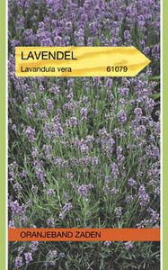 Lavendel