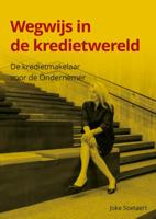 Wegwijs in de kredietwereld (Hardback)