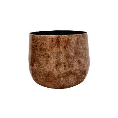Cilia Latte D22 x H20