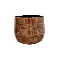 Cilia Latte D22 x H20