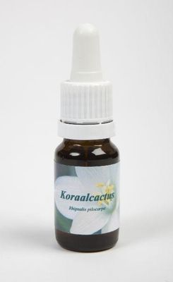 Koraalcactus