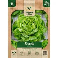 Kropsla attractie 300st