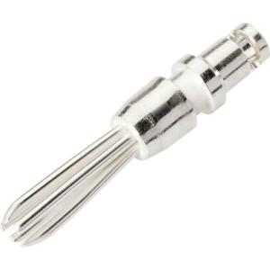 Schnepp N 2400 Pluimstekker Stekker, recht Stift-Ø: 2.4 mm Zilver 1 stuk(s)