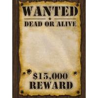 Wanted poster - 59 x 42 cm - voor eigen foto - Western/cowboy thema versiering