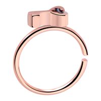Continuous Ring Met roségoud verguld chirurgisch staal Piercingringen