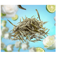 LAMPE BERGER - Parfums - Parfum 0,5L Pure White Tea - thumbnail
