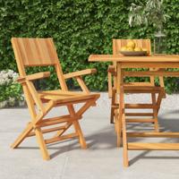 Tuinstoelen inklapbaar 2 st 55x61x90 cm massief teakhout