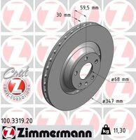 Remschijf Coat Z 100331920