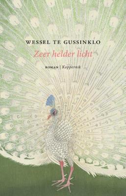 Zeer helder licht (Hardback)