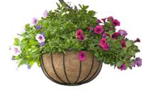 Hanging basket smeedijzer zwart H20x dia. 35cm Nature - Nature