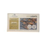 Kerstverlichting Ivy - 20 led lampjes - warm wit - 150 cm - lichtsnoer