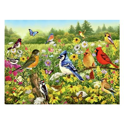 Ravensburger Legpuzzel vogels in de wei, 1000st.