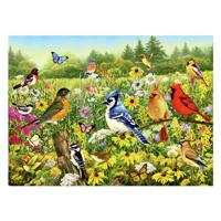 Ravensburger Legpuzzel vogels in de wei, 1000st.