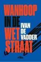 Wanhoop in de Wetstraat (Paperback)