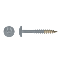 pgb-Europe PGB-FASTENERS | HPL schroef Tx20 4,8x38 R7001 A4 TRESP0A00038070013