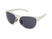 Zonnebrillen Alpina Nacan II Transparent Gloss/Black