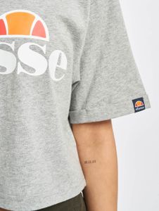 Ellesse / t-shirt Alberta in grijs Ellesse / t-shirt Alberta in grijs