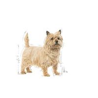 Royal Canin Mini Light Weight Care 3 kg Volwassen Groente - thumbnail