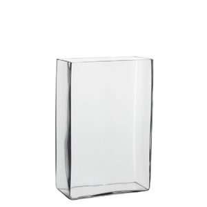 Hoge vaas/accubak transparant glas rechthoekig 20 x 10 x 30 cm