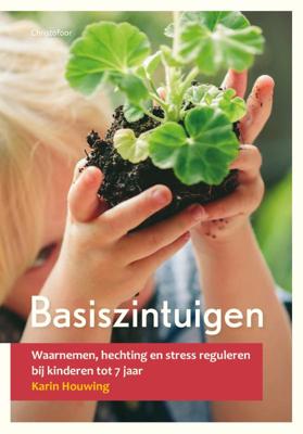 Basiszintuigen (Paperback)