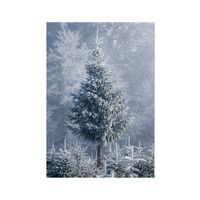 Schilderij op Paneel Kerstboom in de Winter White PVC 30x40 Een Ophangplaat