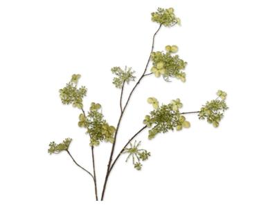 Hortensiatak l115 cm groen - Silkka