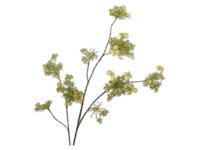 Hortensiatak l115 cm groen - Silkka