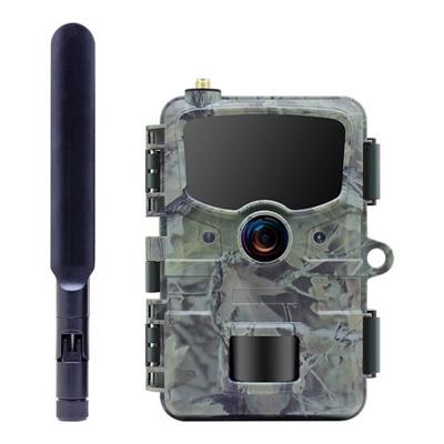 Stealth Gear hedgehog 1080p 4g wildcamera