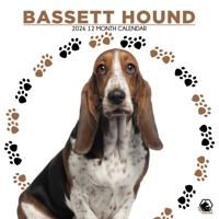 Basset Hound Kalender 2026