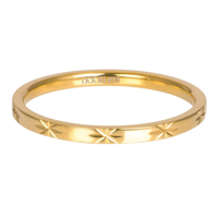 iXXXi Vulring Sterre Goud