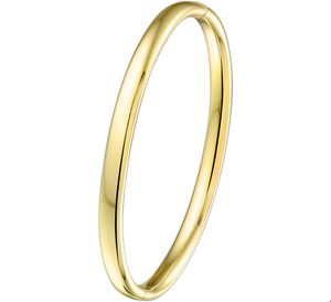 Armband Zilgold Bangle Geelgoud met zilveren kern 5 mm