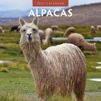 Alpaca Kalender 2027