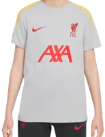 Nike Liverpool FC Strike Derde Shirt