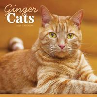 Rode Katten Kalender 2026