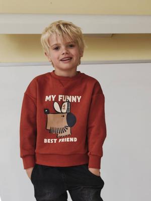 Sweater met hondenprint voor jongens terracottategel