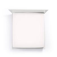 Bella Donna Bella Donna Hoeslaken Jersey Tweepersoons wolwit-0114 140/190-160/220