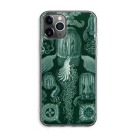 Haeckel Cubomedusae: iPhone 11 Pro Max Transparant Hoesje