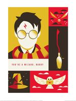 WB Art of the 100th You're a Wizard Harry Art Print 30x40cm