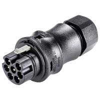 Wieland Electric 96.072.4153.1 Steekverbinder